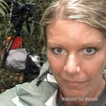 EMS for entertainment industry